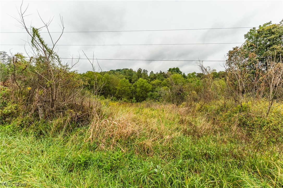 36810 Township Road 68a Coshocton OH 43821