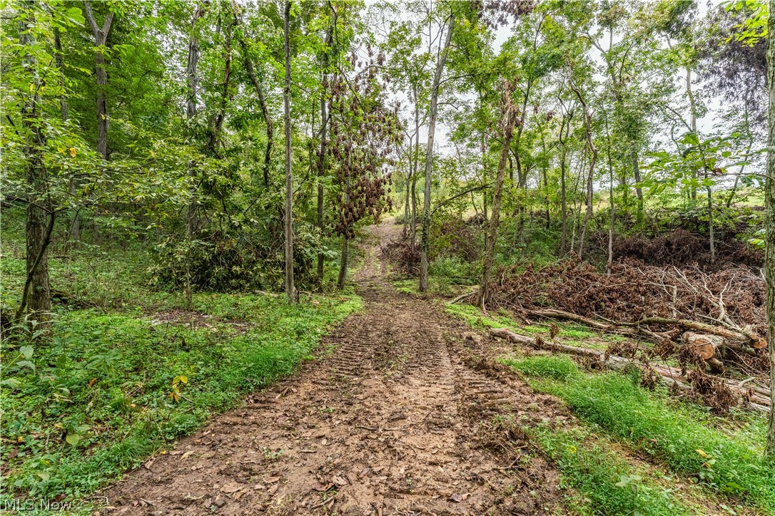 36810 Township Road 68a Coshocton OH 43821