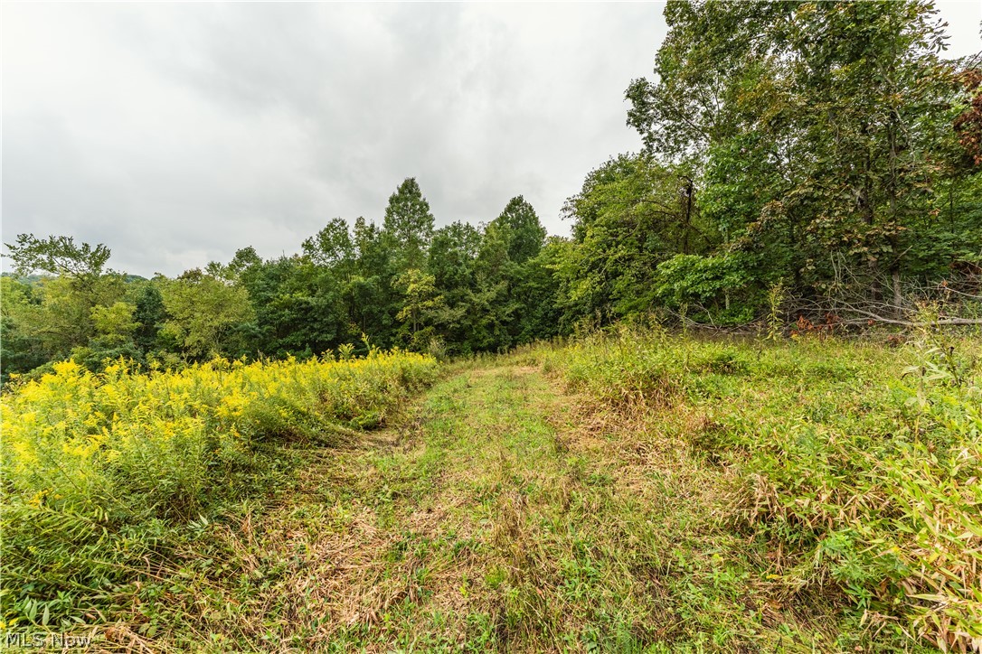 36810 Township Road 68a Coshocton OH 43821
