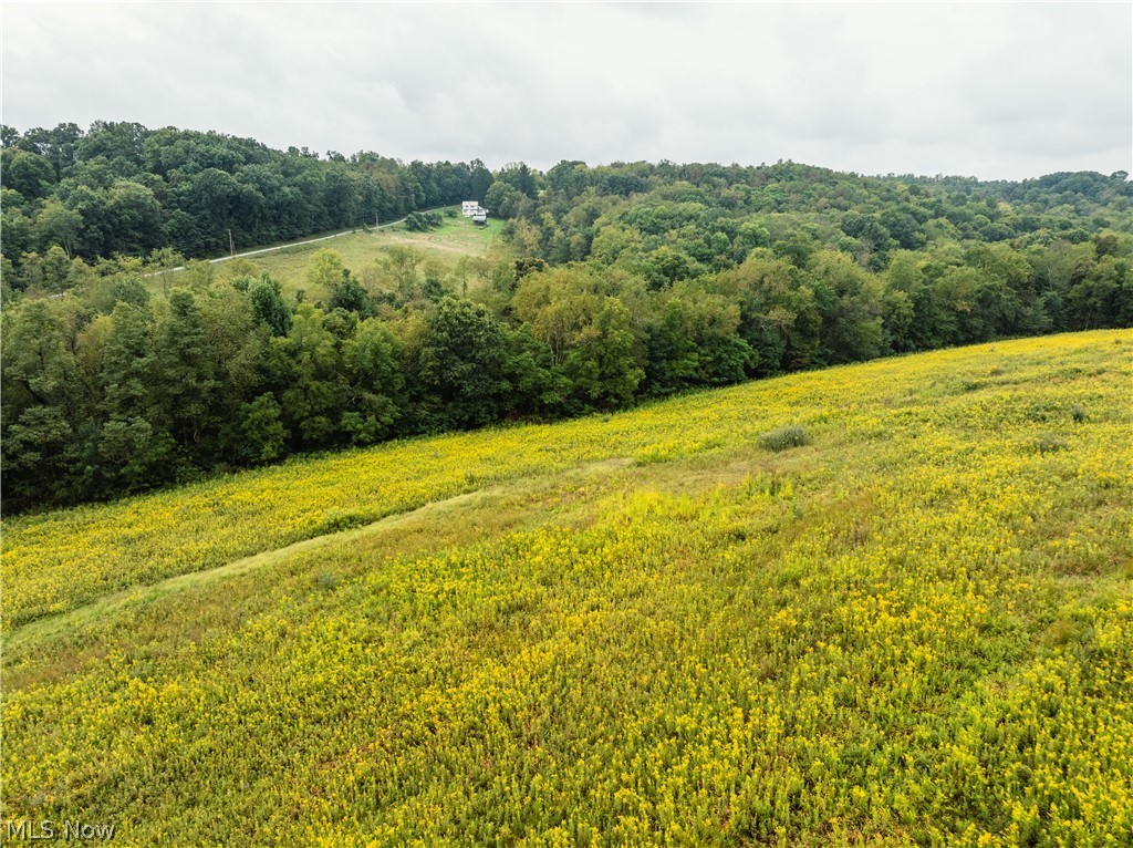 36810 Township Road 68a Coshocton OH 43821