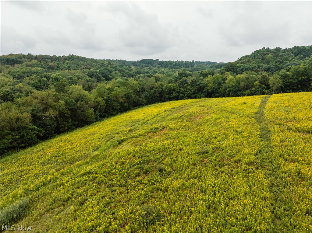 36810 Township Road 68a Coshocton OH 43821