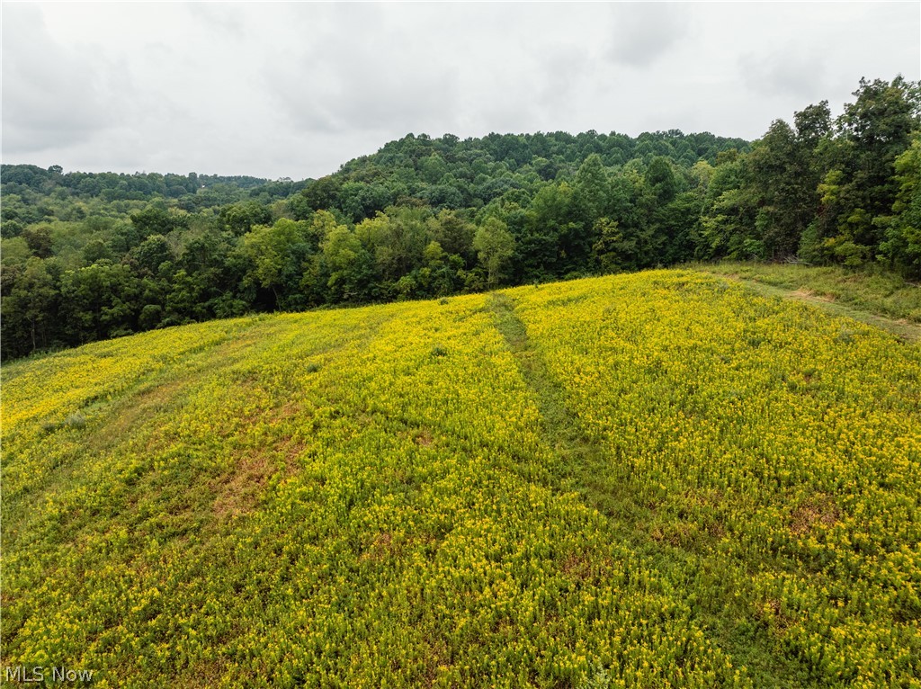 36810 Township Road 68a Coshocton OH 43821