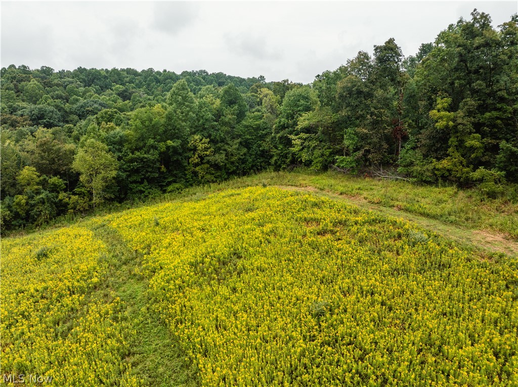 36810 Township Road 68a Coshocton OH 43821
