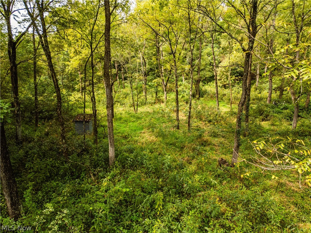 36810 Township Road 68a Coshocton OH 43821
