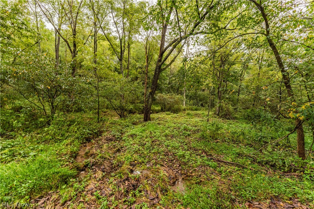 36810 Township Road 68a Coshocton OH 43821