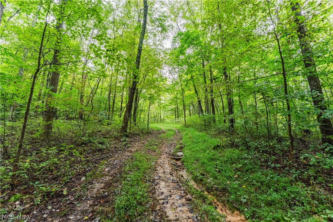 36810 Township Road 68a Coshocton OH 43821