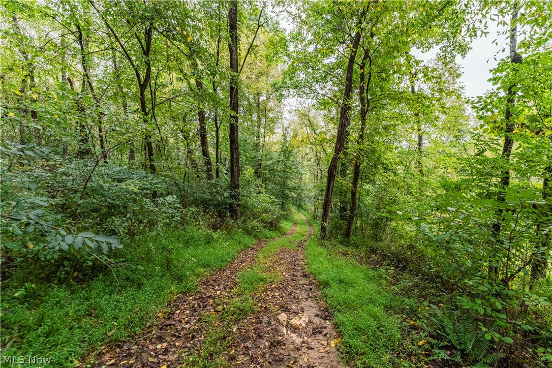 36810 Township Road 68a Coshocton OH 43821