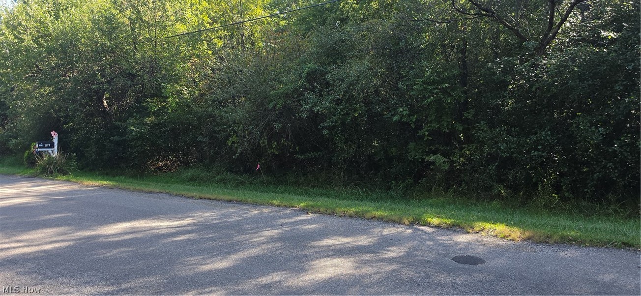 1677 & 1678 Sugar Creek Drive Roaming Shores OH 44084