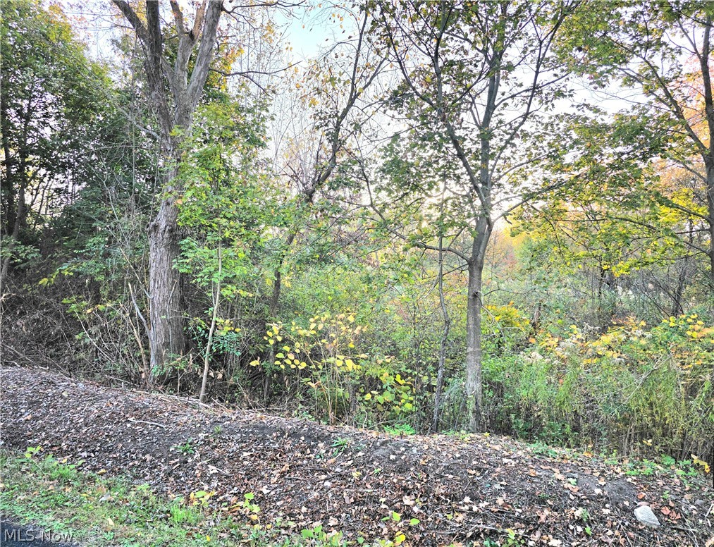 S Bender Avenue Akron OH 44319