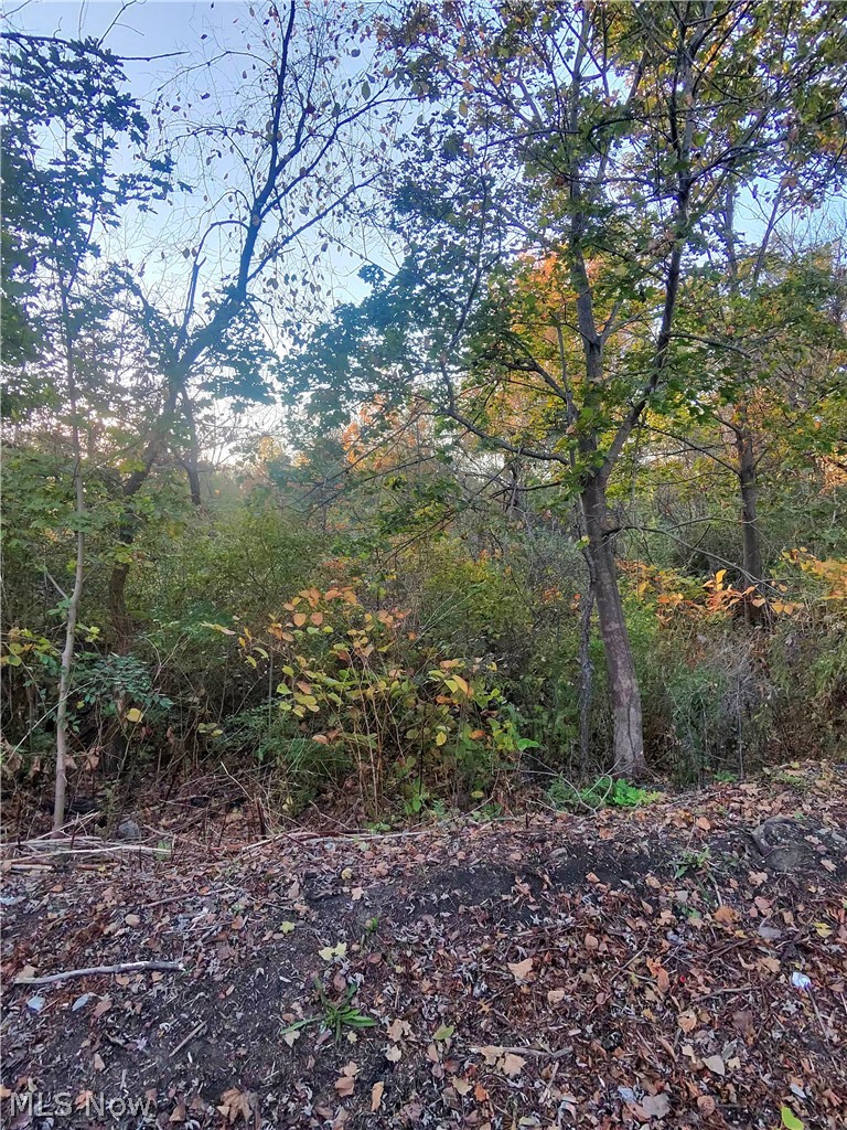 S Bender Avenue Akron OH 44319
