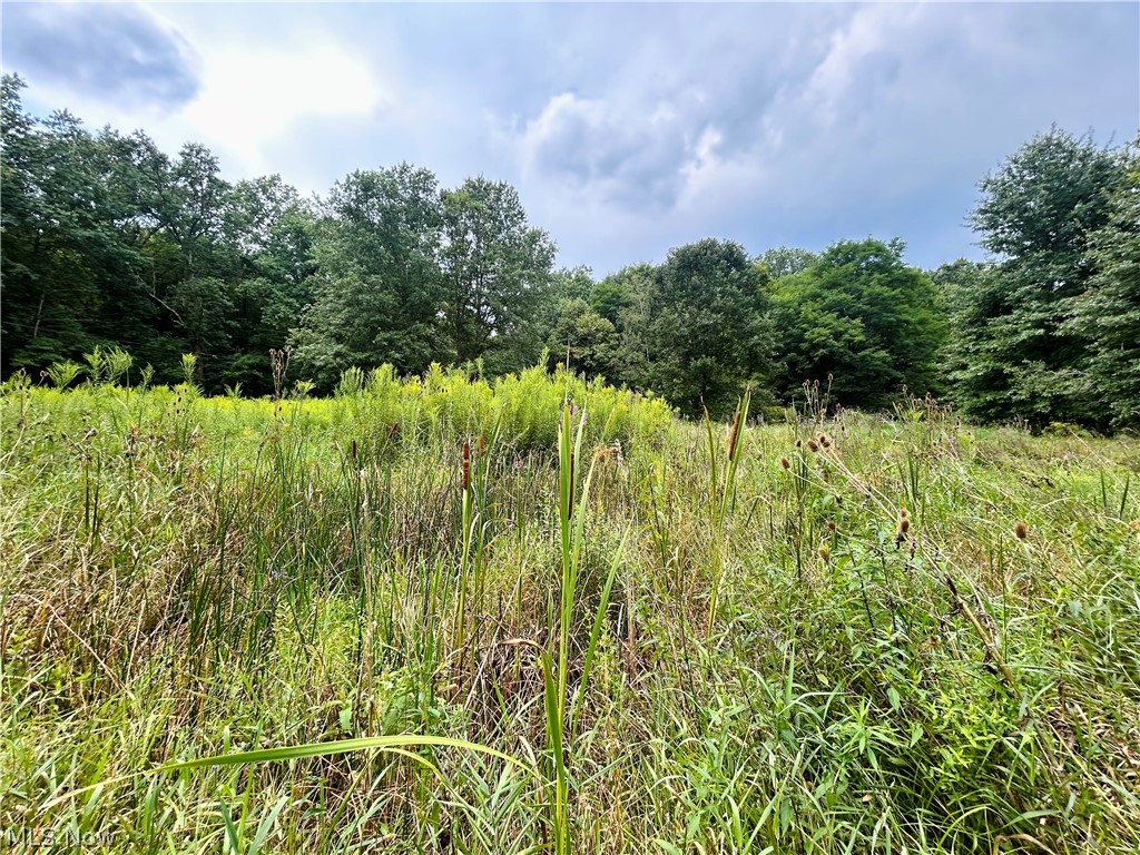 6027 State Route 88 Kinsman OH 44428