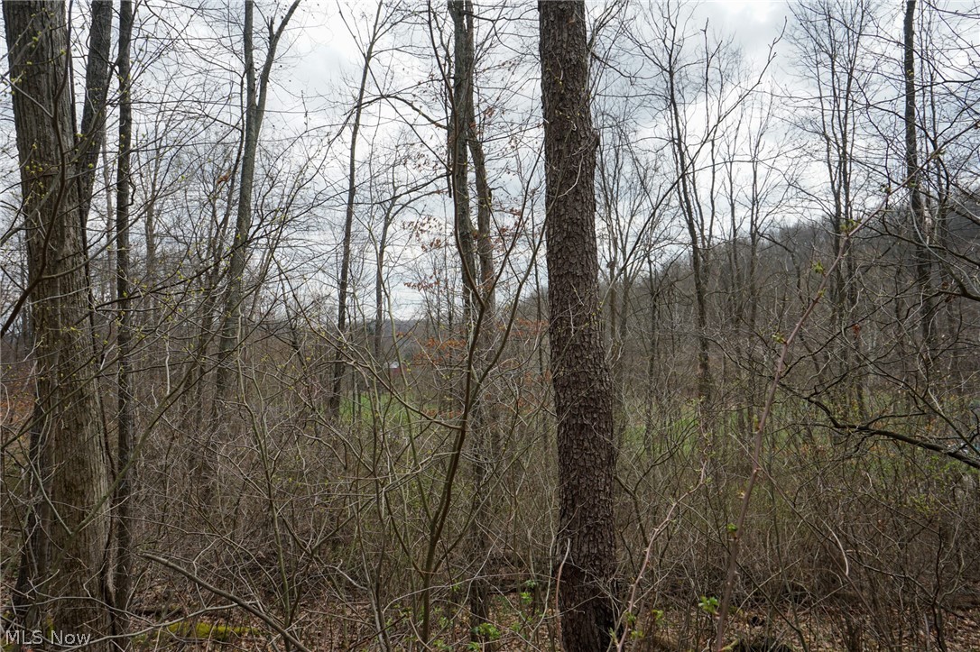 Mckee Hill Road Frazeysburg OH 43822