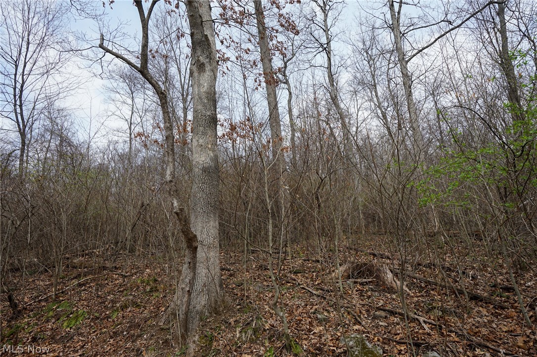 Mckee Hill Road Frazeysburg OH 43822