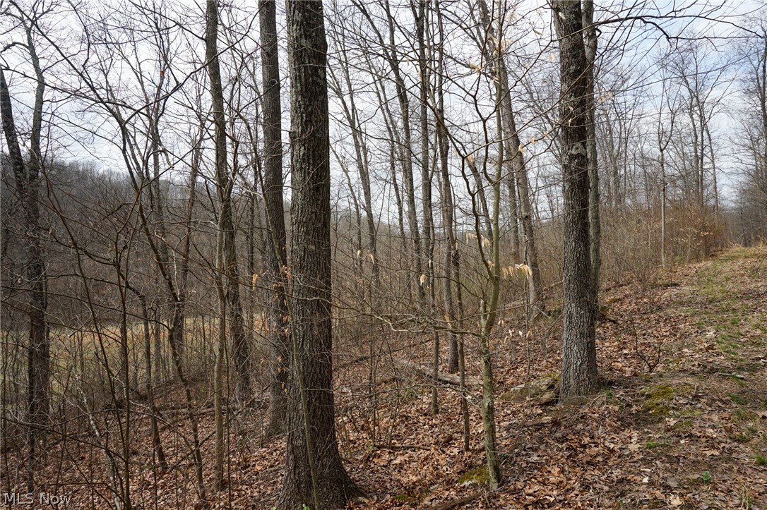Mckee Hill Road Frazeysburg OH 43822