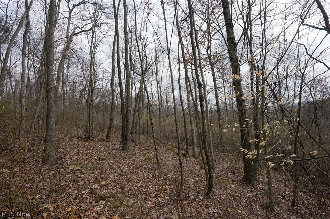 Mckee Hill Road Frazeysburg OH 43822
