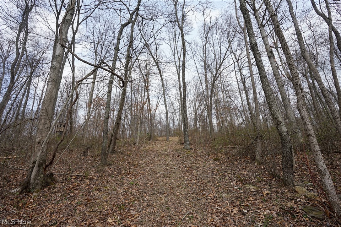 Mckee Hill Road Frazeysburg OH 43822