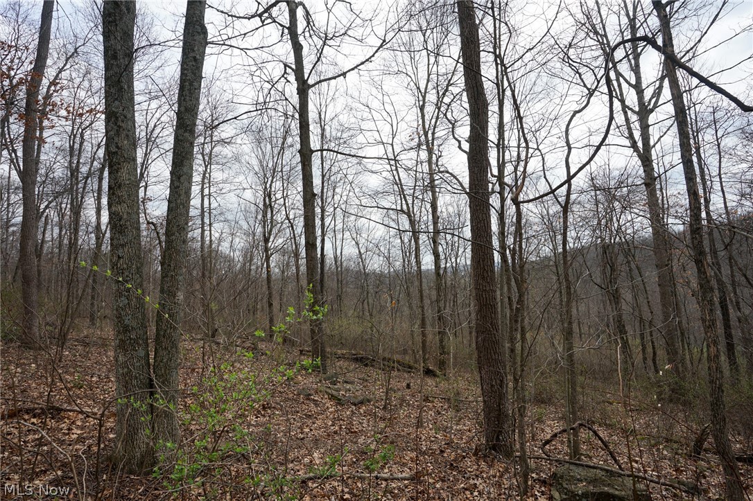 Mckee Hill Road Frazeysburg OH 43822