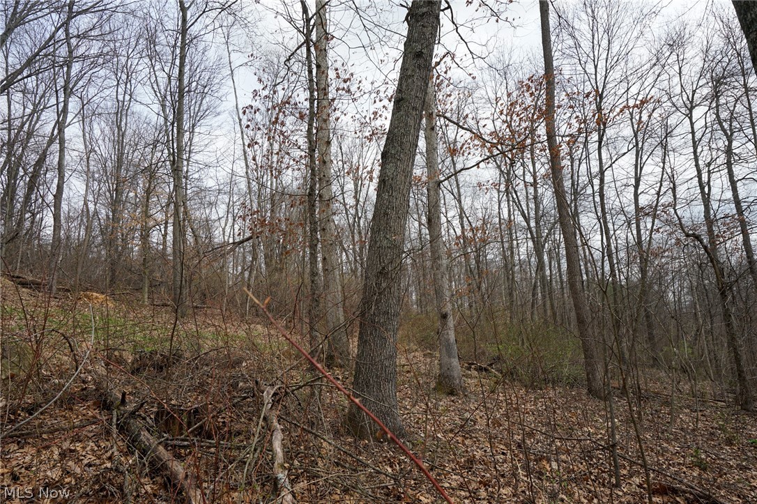 Mckee Hill Road Frazeysburg OH 43822