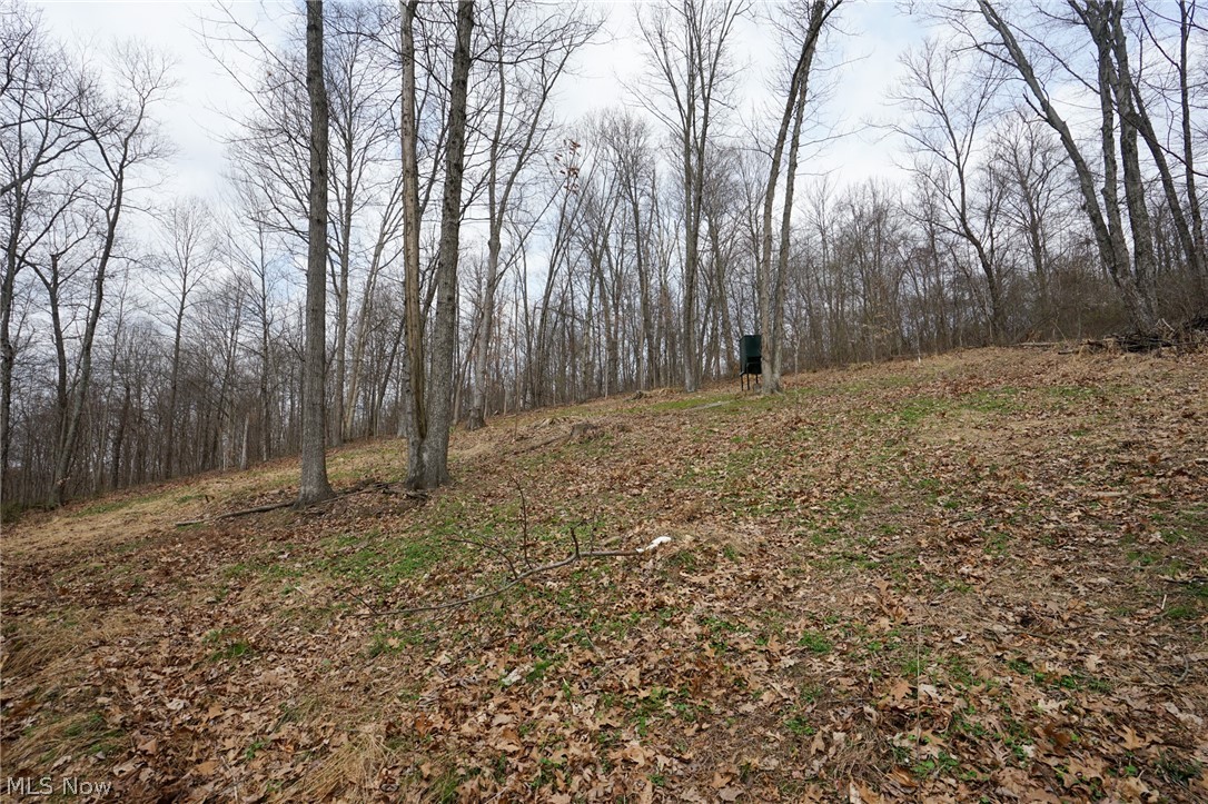 Mckee Hill Road Frazeysburg OH 43822