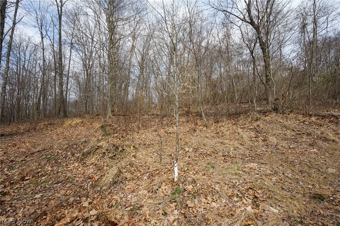 Mckee Hill Road Frazeysburg OH 43822