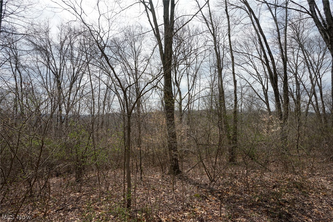 Mckee Hill Road Frazeysburg OH 43822