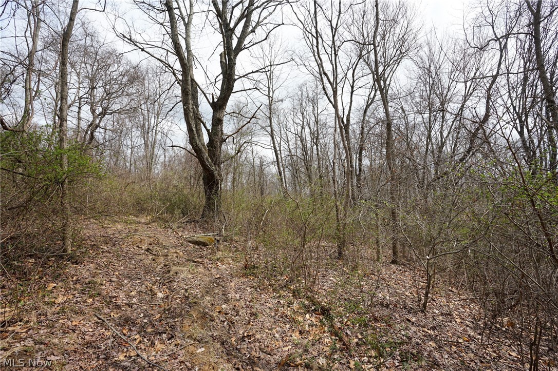 Mckee Hill Road Frazeysburg OH 43822