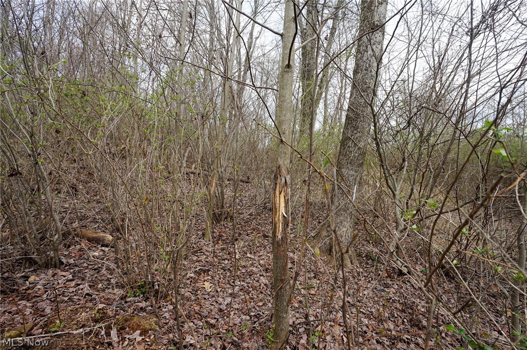 Mckee Hill Road Frazeysburg OH 43822