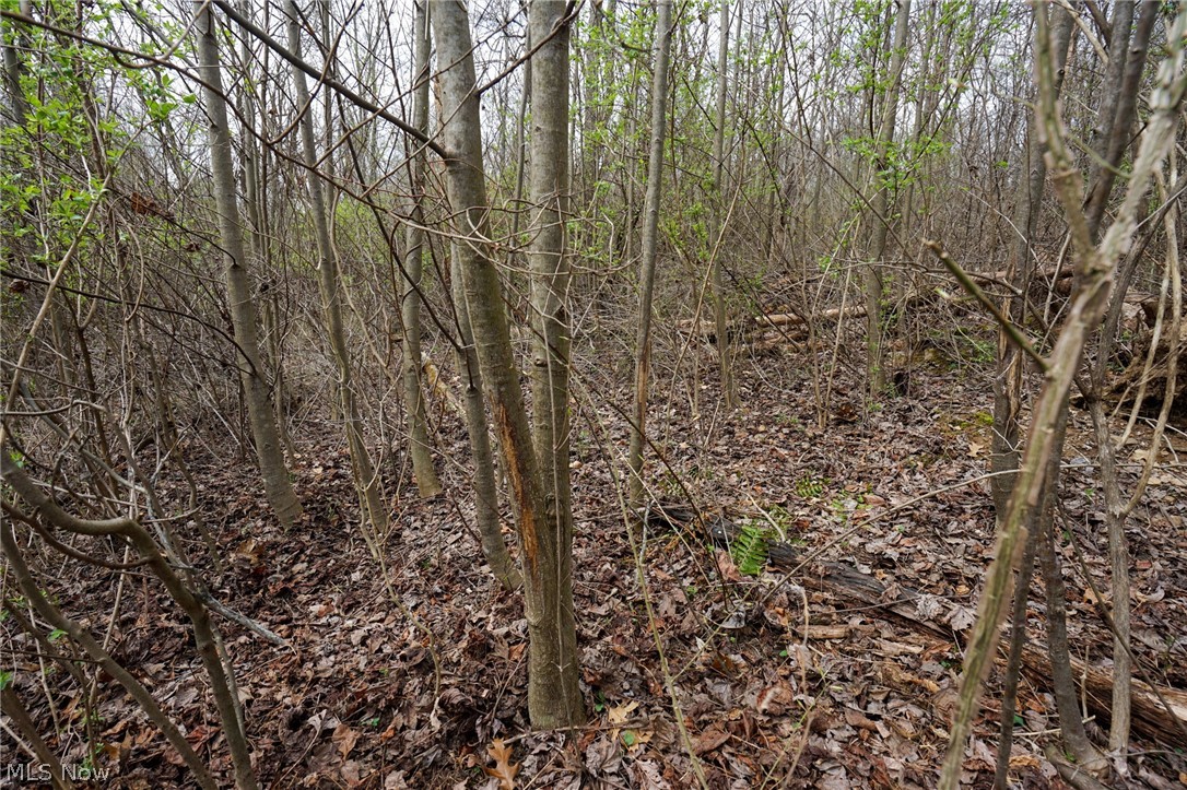 Mckee Hill Road Frazeysburg OH 43822