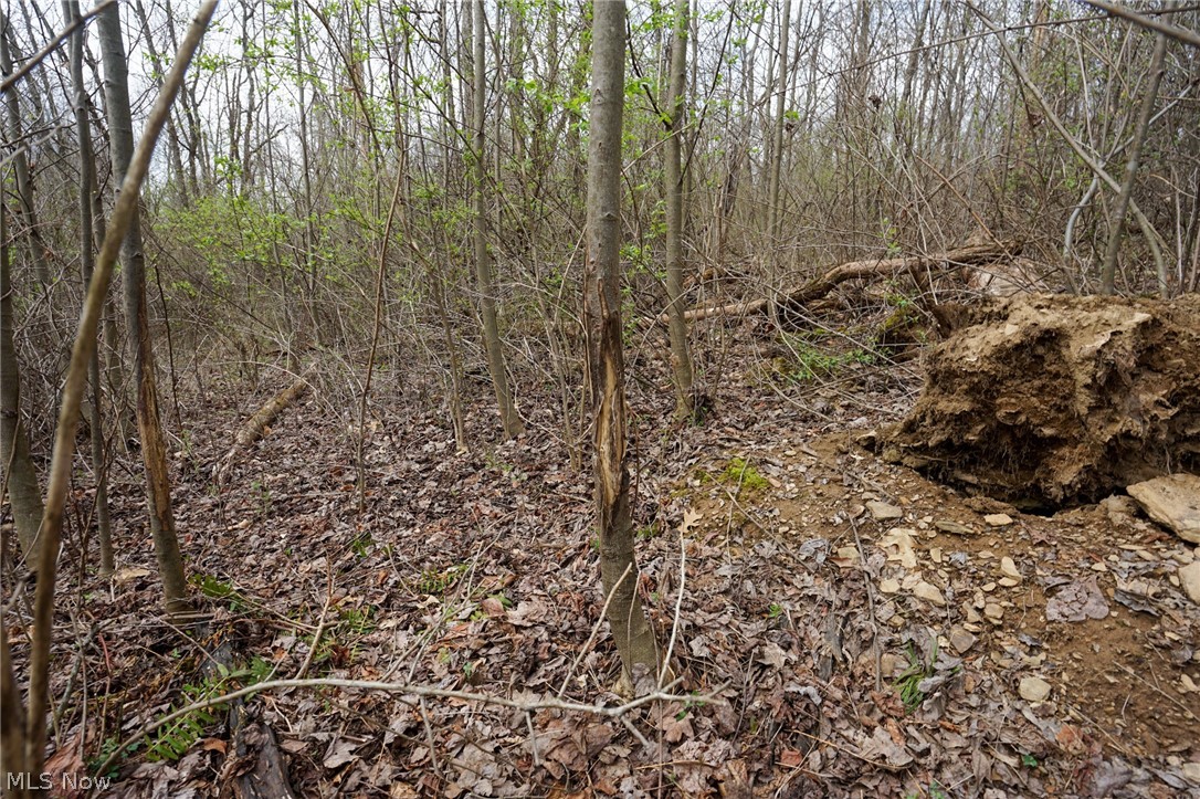 Mckee Hill Road Frazeysburg OH 43822