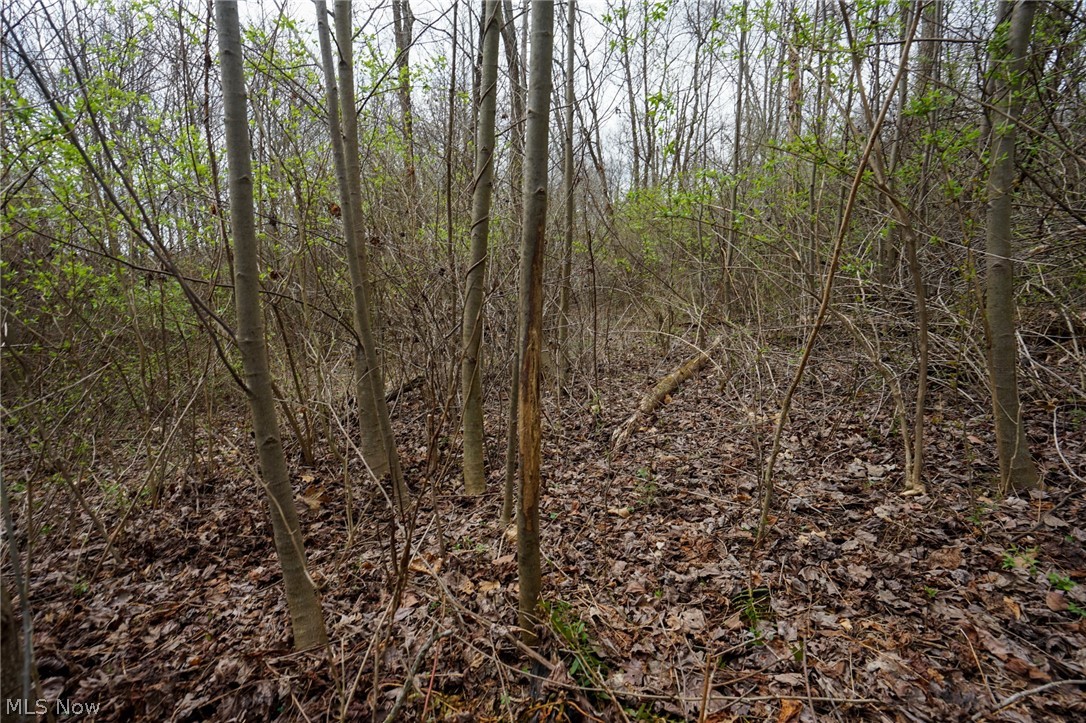 Mckee Hill Road Frazeysburg OH 43822