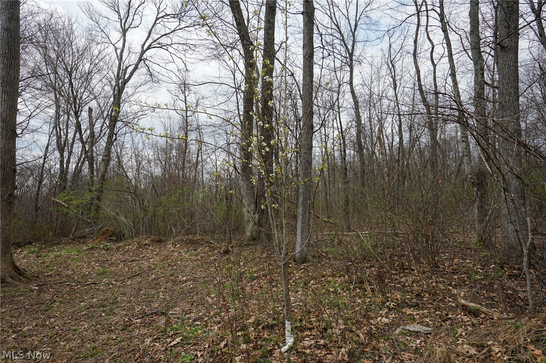 Mckee Hill Road Frazeysburg OH 43822