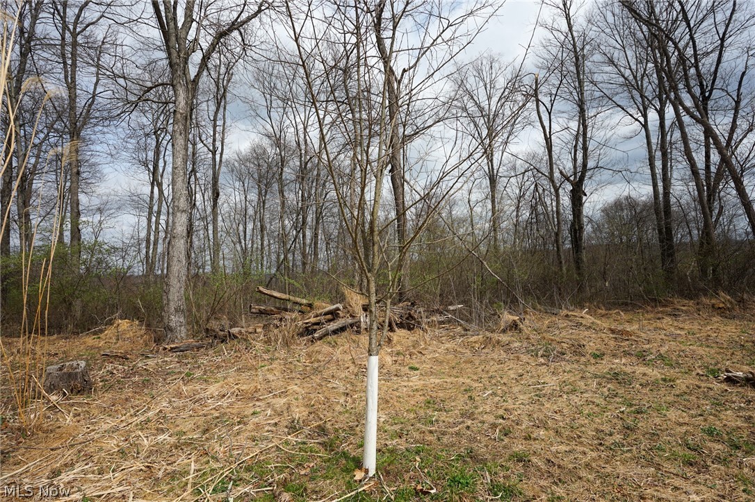 Mckee Hill Road Frazeysburg OH 43822