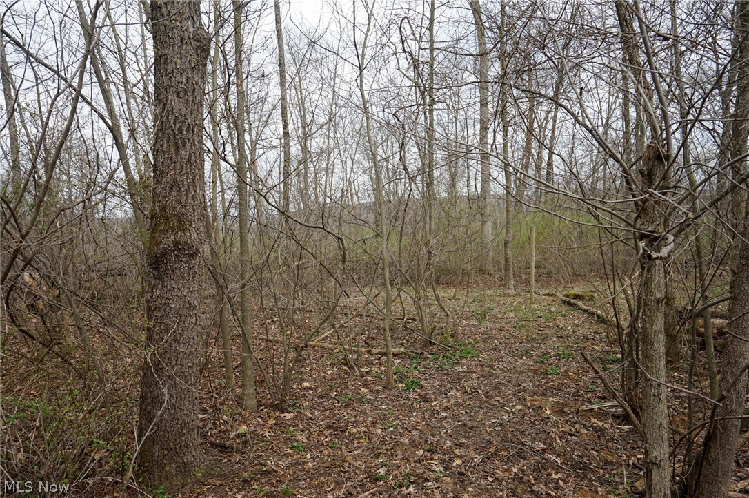 Mckee Hill Road Frazeysburg OH 43822