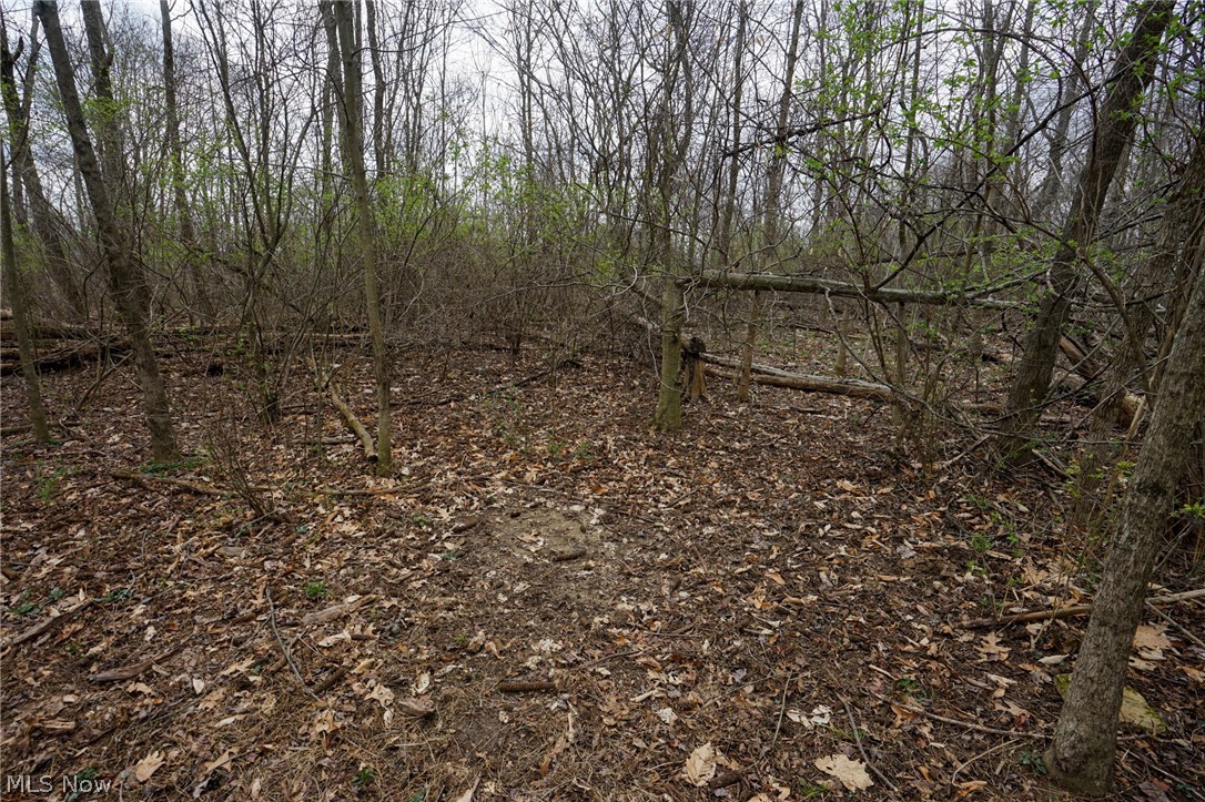 Mckee Hill Road Frazeysburg OH 43822