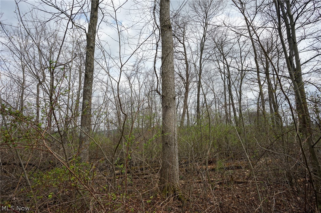 Mckee Hill Road Frazeysburg OH 43822