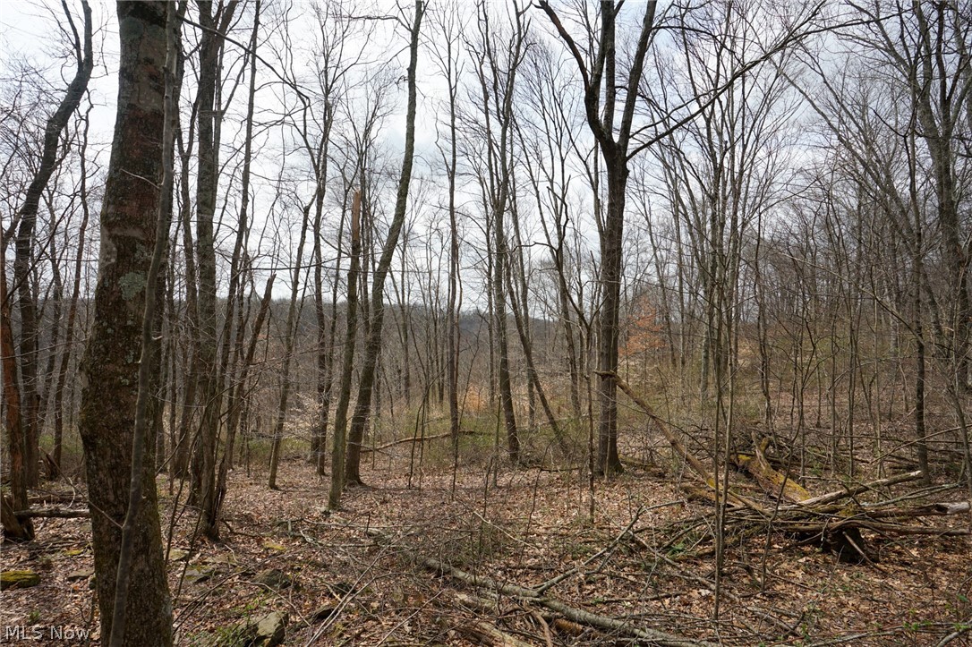 Mckee Hill Road Frazeysburg OH 43822