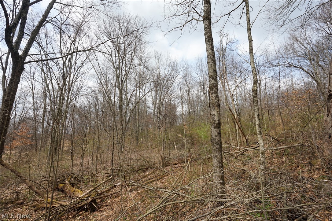 Mckee Hill Road Frazeysburg OH 43822