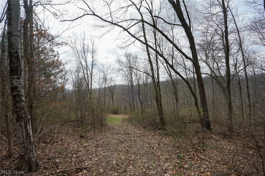 Mckee Hill Road Frazeysburg OH 43822
