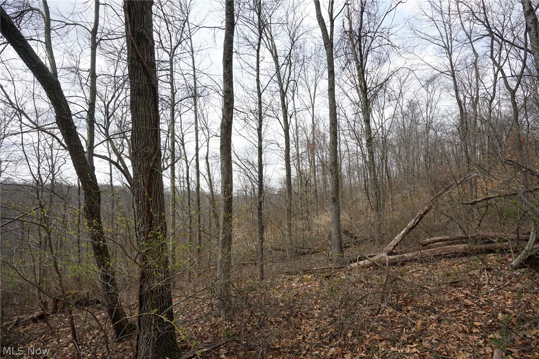 Mckee Hill Road Frazeysburg OH 43822