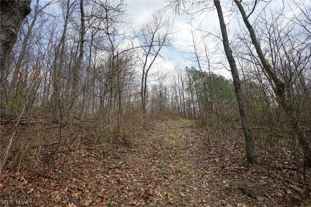 Mckee Hill Road Frazeysburg OH 43822