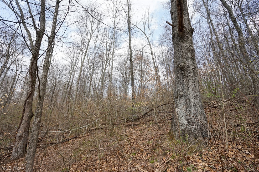 Mckee Hill Road Frazeysburg OH 43822