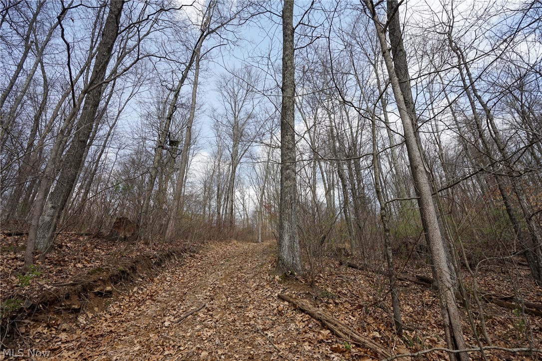 Mckee Hill Road Frazeysburg OH 43822