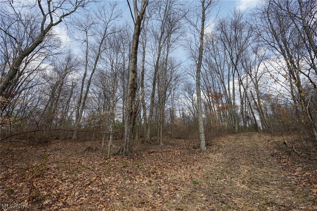 Mckee Hill Road Frazeysburg OH 43822