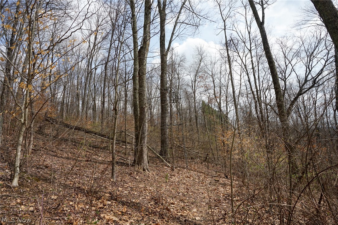 Mckee Hill Road Frazeysburg OH 43822