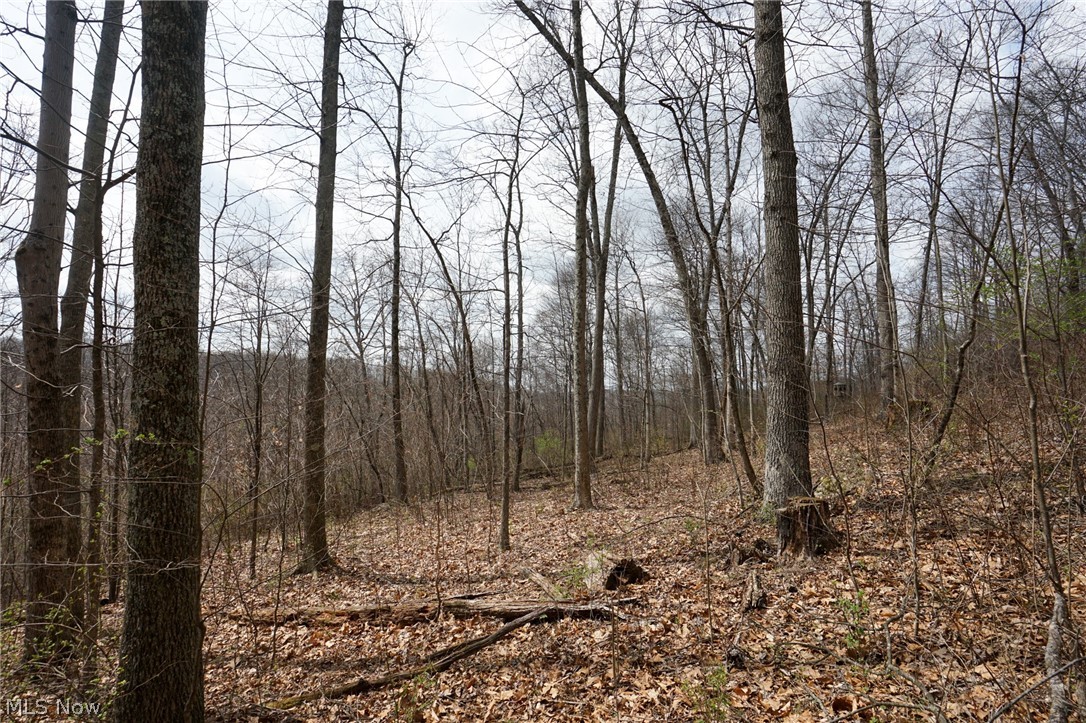Mckee Hill Road Frazeysburg OH 43822