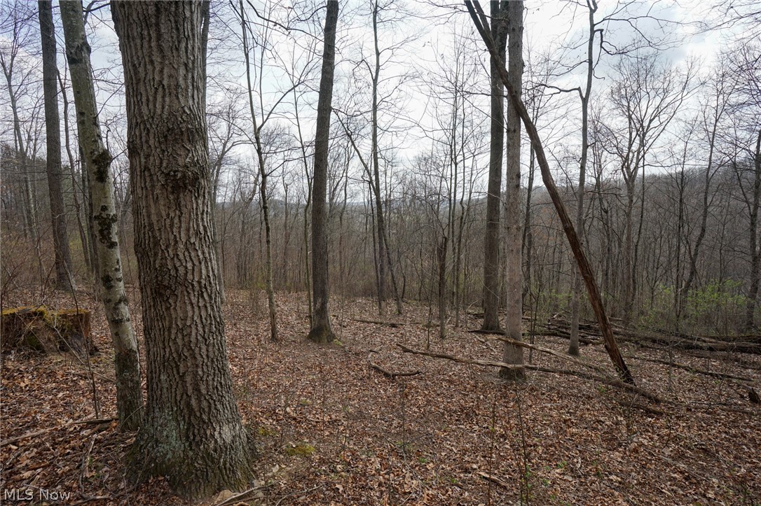 Mckee Hill Road Frazeysburg OH 43822