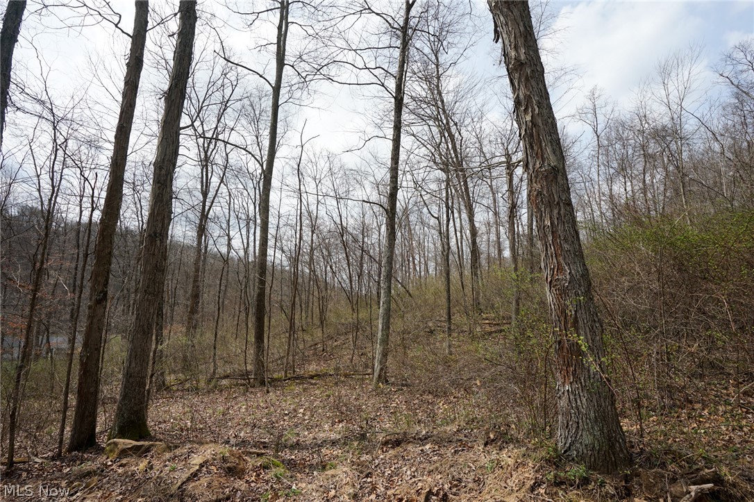 Mckee Hill Road Frazeysburg OH 43822
