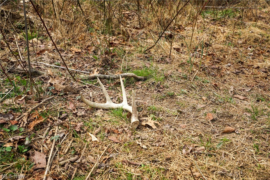 Mckee Hill Road Frazeysburg OH 43822