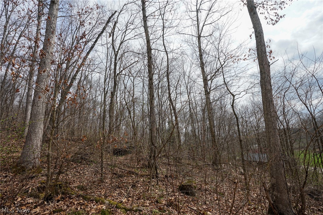 Mckee Hill Road Frazeysburg OH 43822