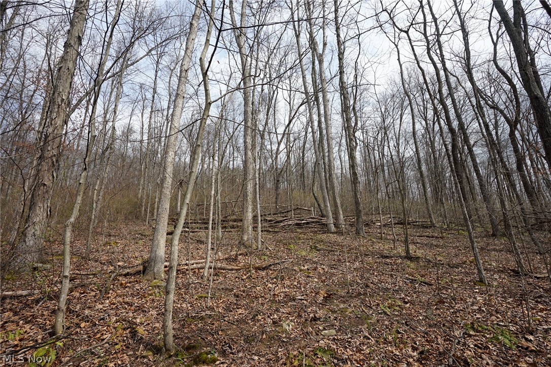 Mckee Hill Road Frazeysburg OH 43822